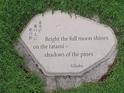Haiku by Kikaku