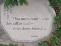 Haiku by Basho