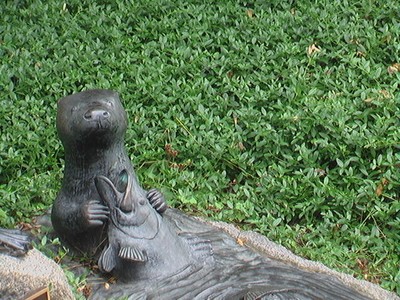 Haiku Otter