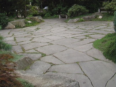 Haiku Path