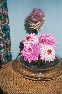 ikebana 4
