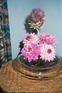 ikebana 4
