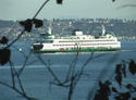 The Seattle Ferry to BIOM