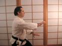 Aikido at Work