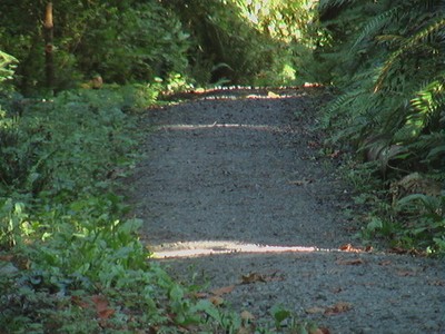 A Clear Path