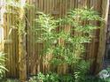 Good Fences Make Good Neighbors