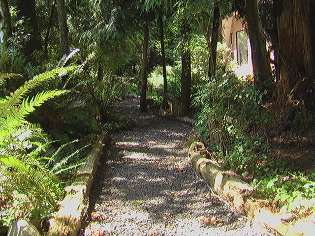 The Main Path