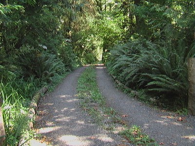 The Road to BIOM