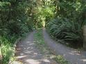 The Road to BIOM