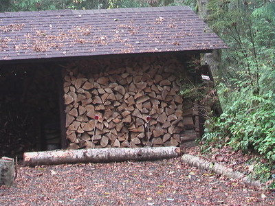 Autumn: Preparing for Winter
