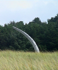 Tusk