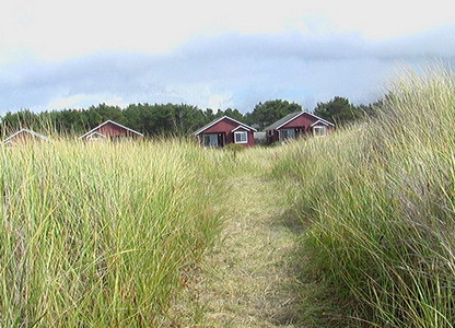 Path