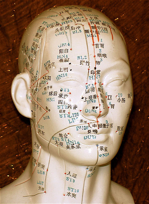 Acupuncture Meridians