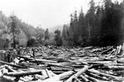 Don't Get Caught in a Logjam