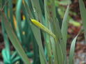 Spring Into Action