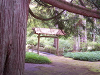 Japanese Garden Gate