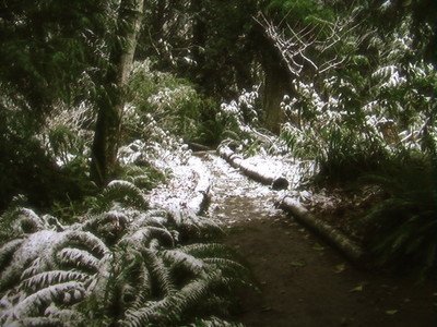 Winter Way