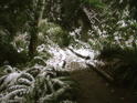 Winter Way