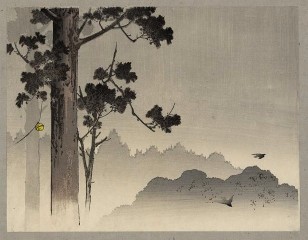 Zen Forest